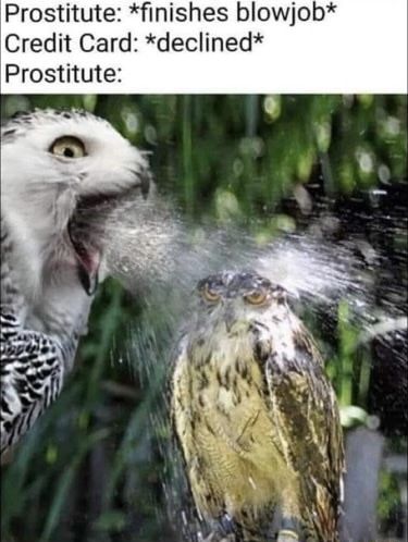 Wait they will do that for free???