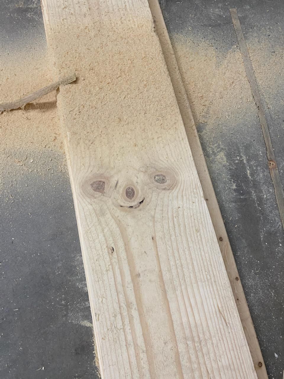 Reupload due to rule break- friend sent me sid the Sloth in his wood