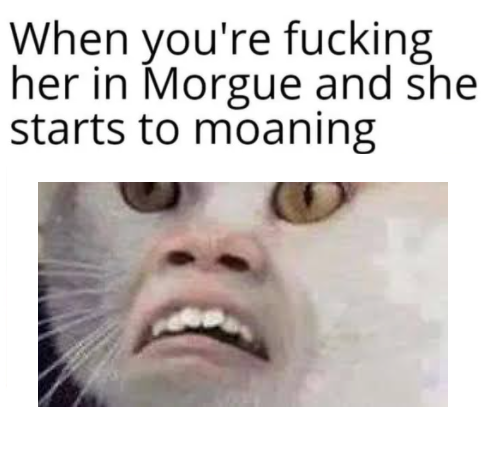 nibba wat?