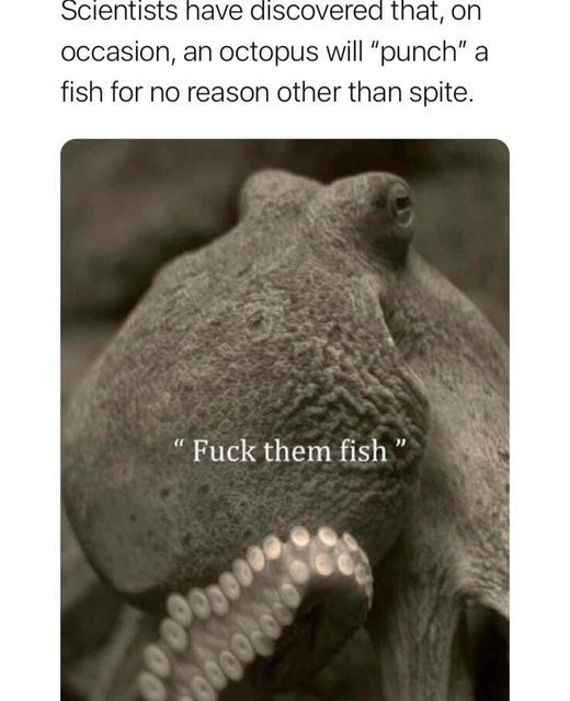 hey you! fck you!