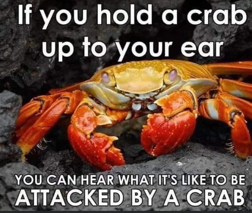 We'll all be crab in the end
