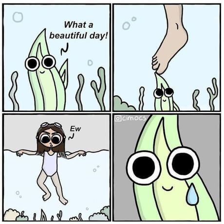 Jokes on her, female feet are nice