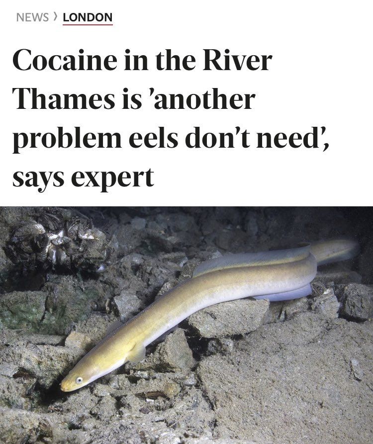 living life in the FAST stream