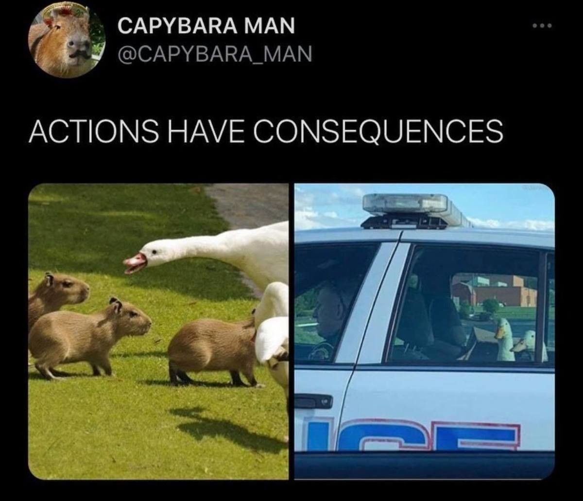 It is illegal to harass the friend-rodents