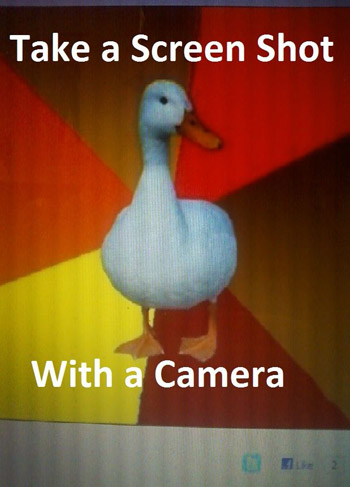 Technologically Impaired Duck