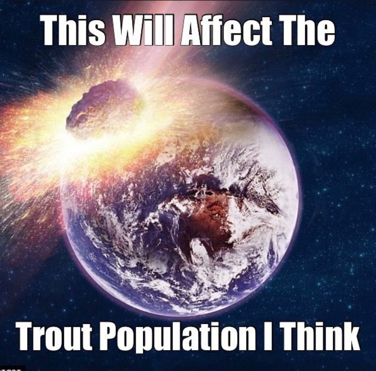 trout