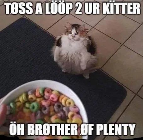 Lööp
