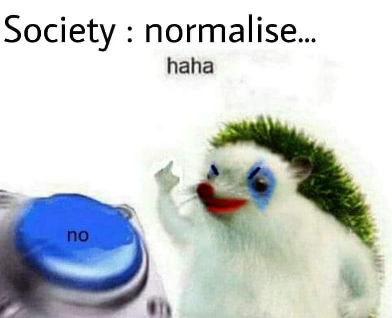 socty