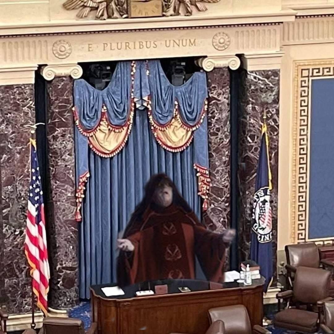 MORE LIVE IMAGES FROM THE SENATE BREHS