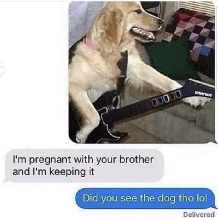 That dog is bad ass