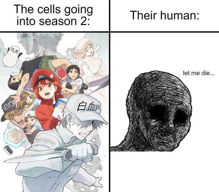 Things are not daijobu