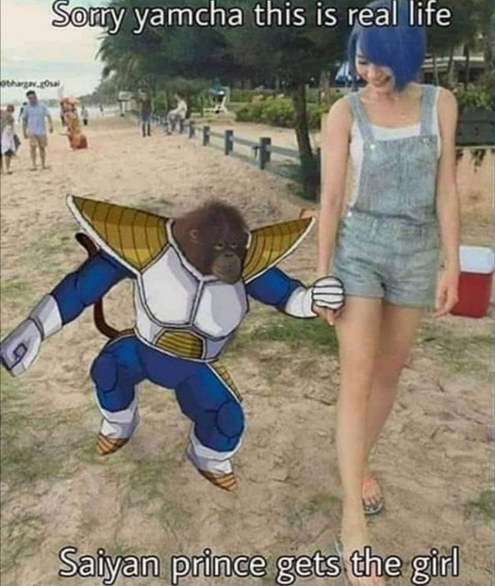 Roses are red, his armor is blue, Vegeta killed Yamcha and took his ex too
