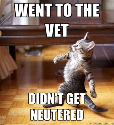 Today was a good day!