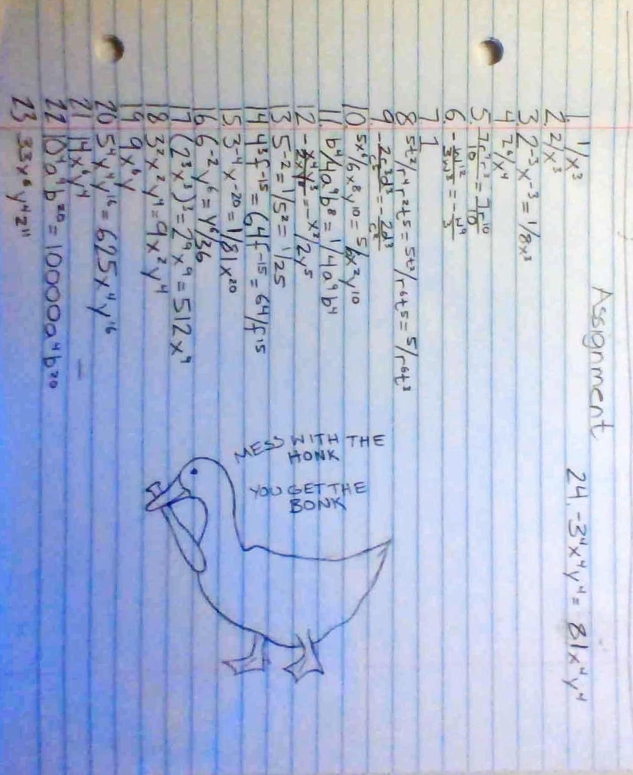 My math teacher said that we needed to draw a duck on our assignment to receive credit, so this is what I made.