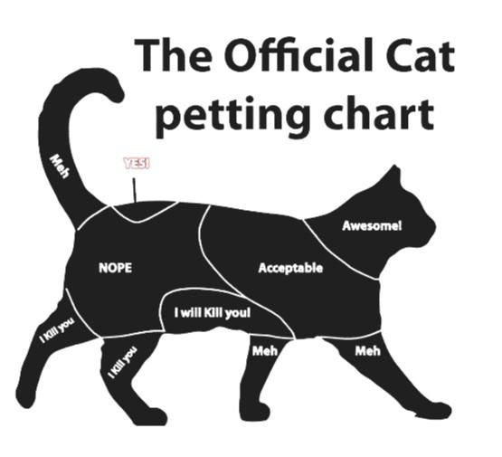 Official Cat Petting Chart