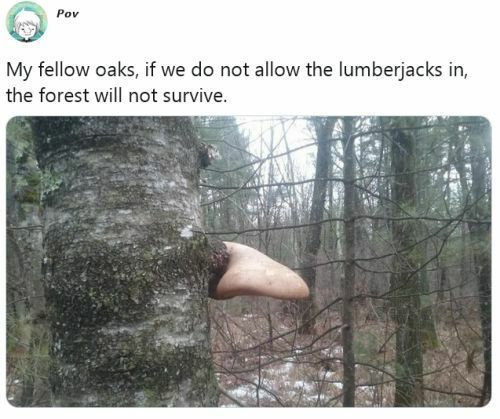 based