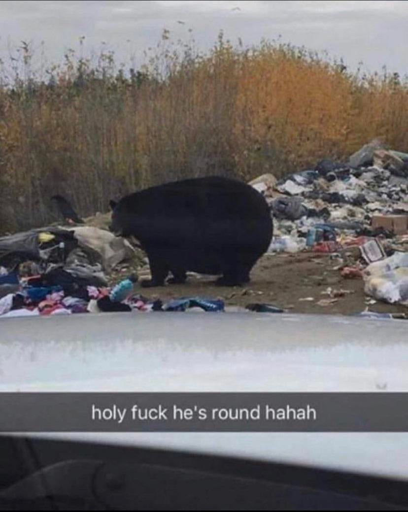 Thicc