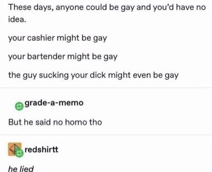 No homo means no homo
