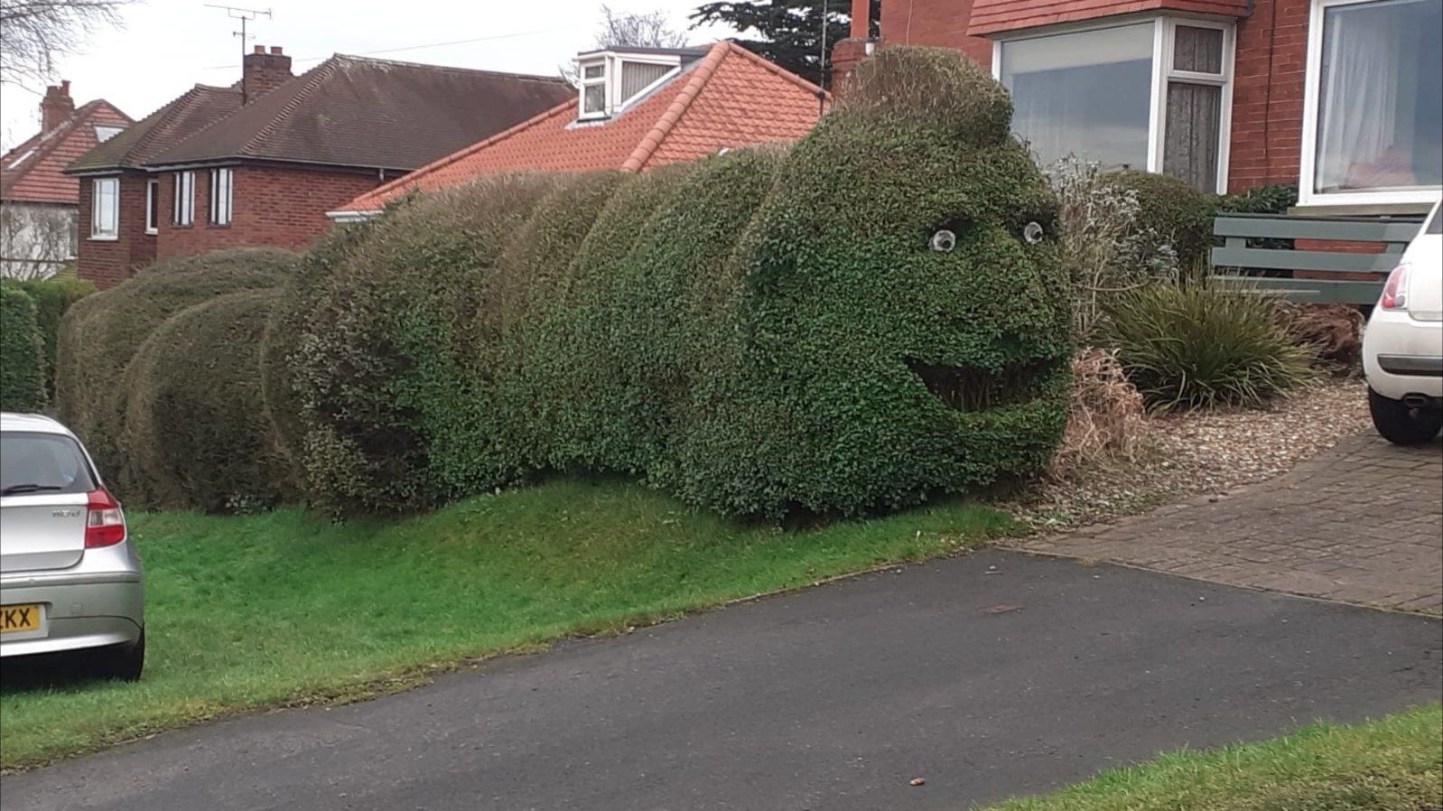 Walking around and saw this terrifying hedge