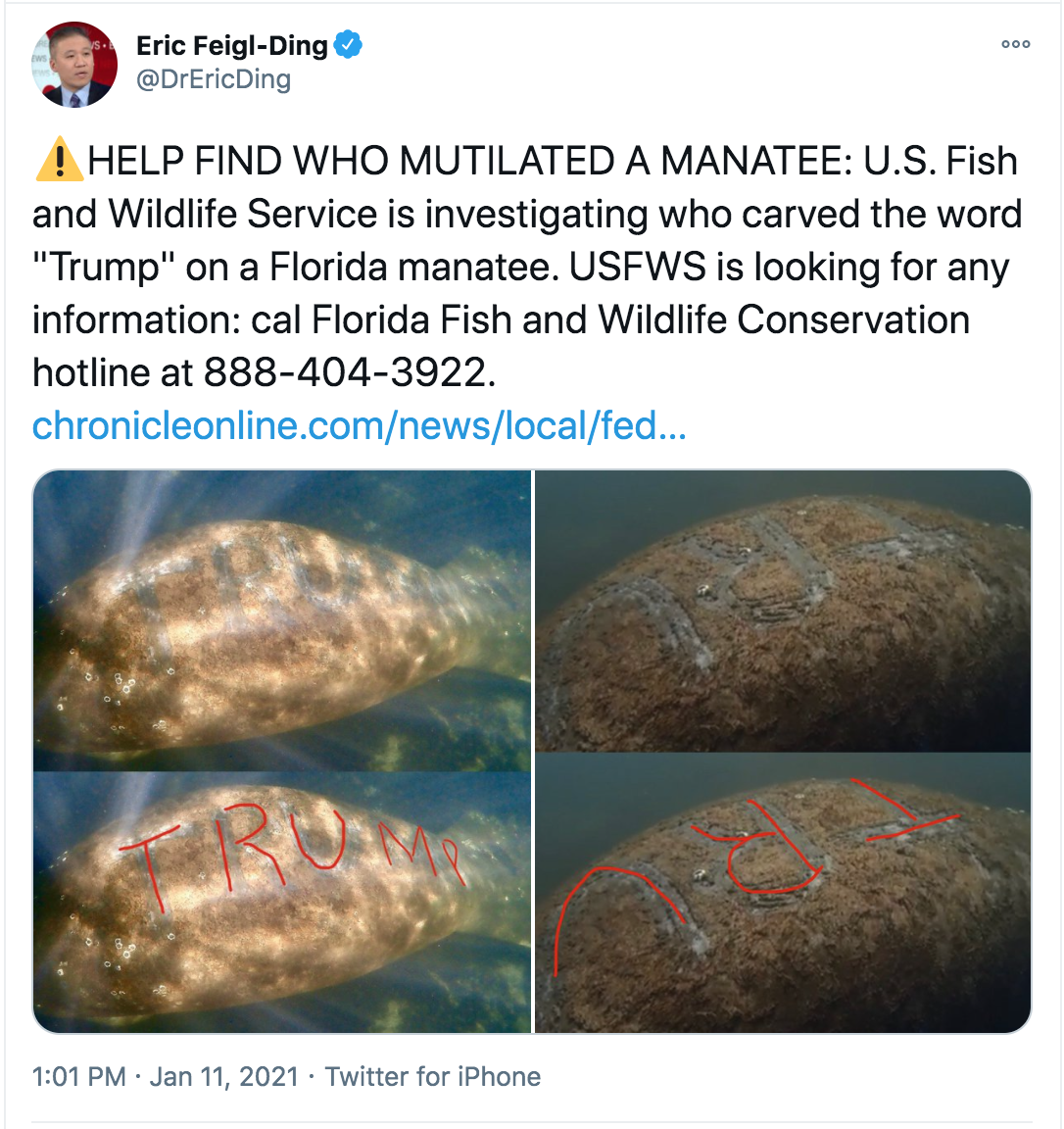 floridaman strikes again