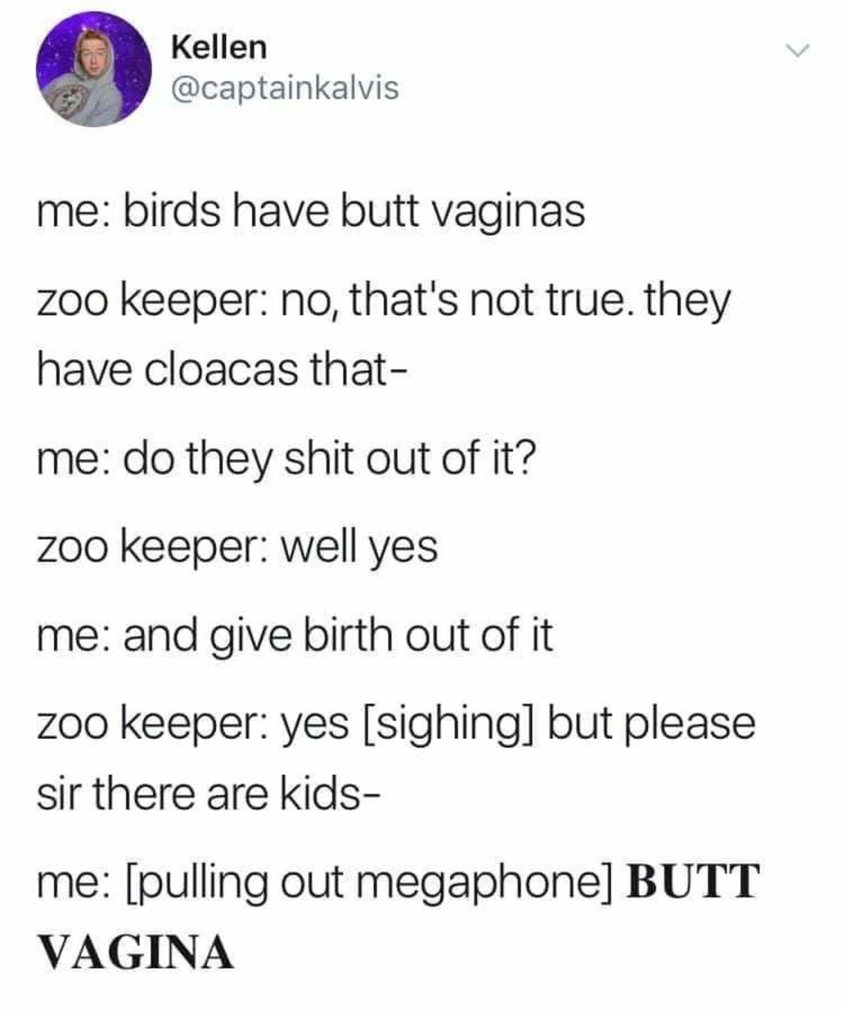Birds are weird