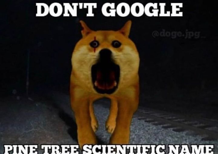 dont