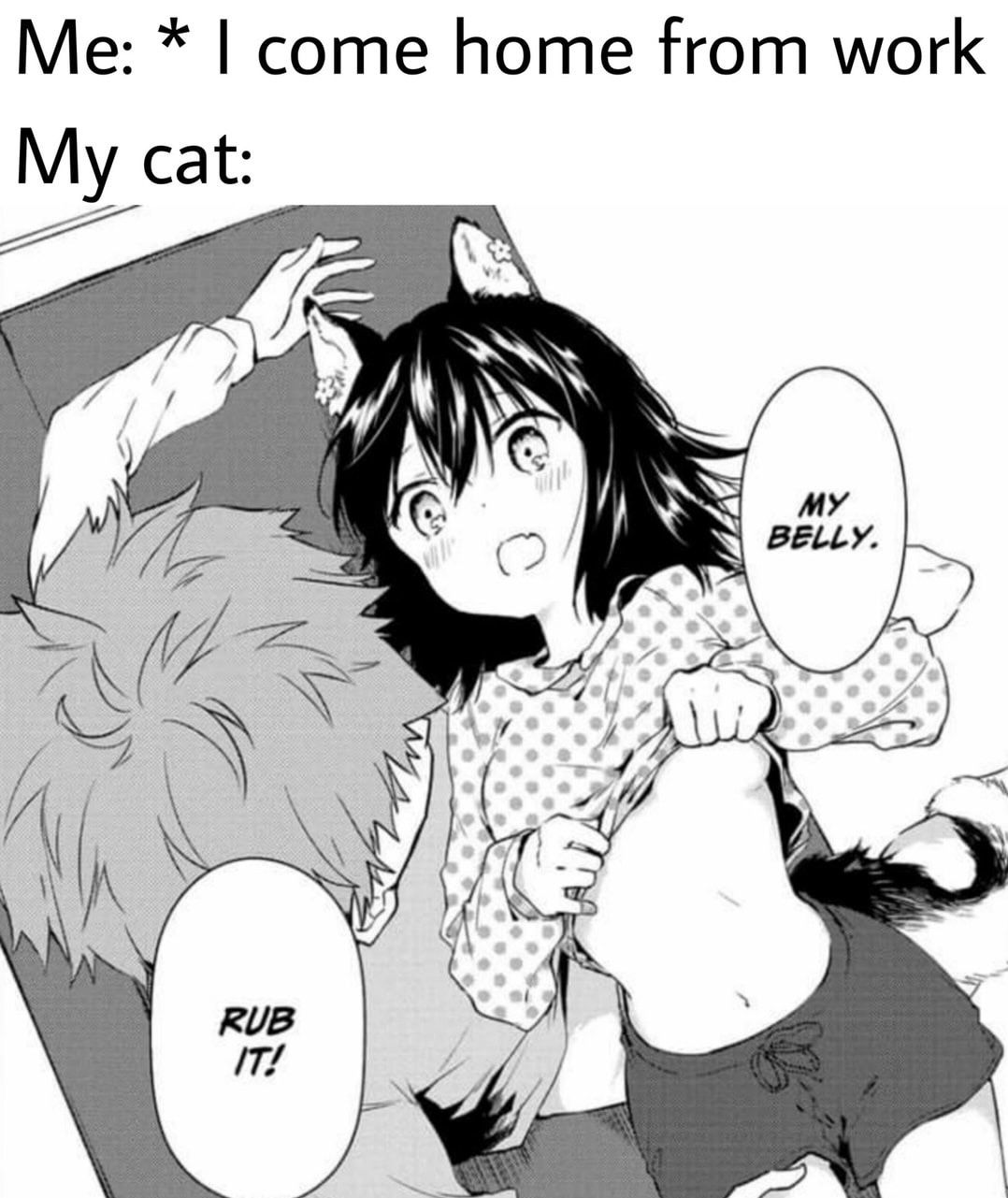 Degenerates