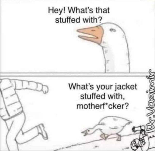 honk
