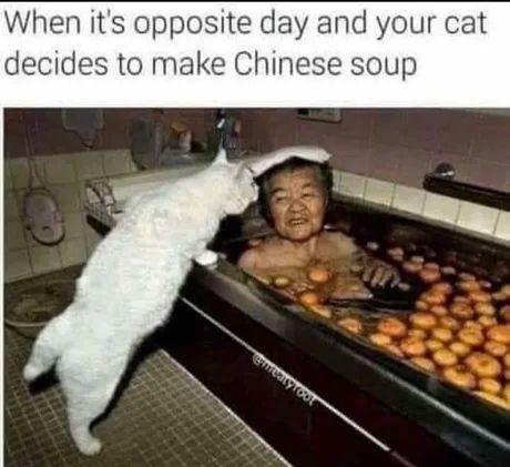 Batsoup