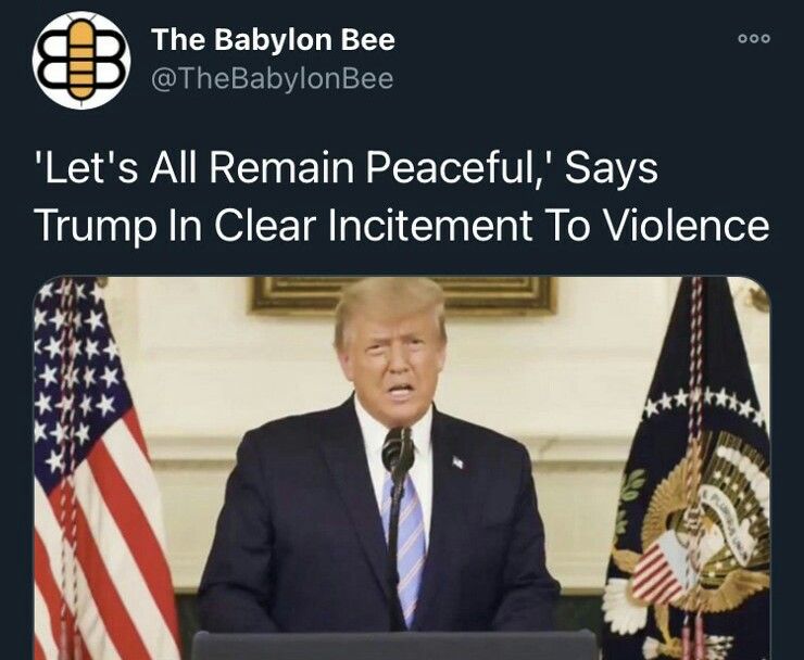bee