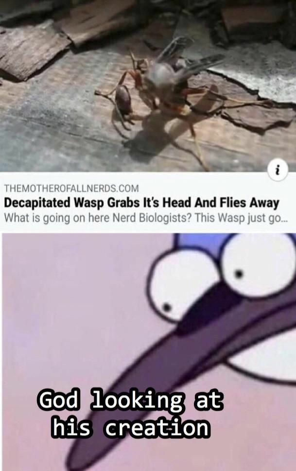 uwot