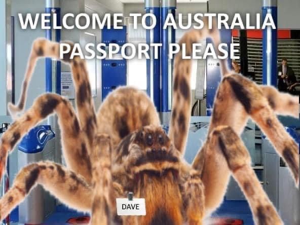 hello dave
