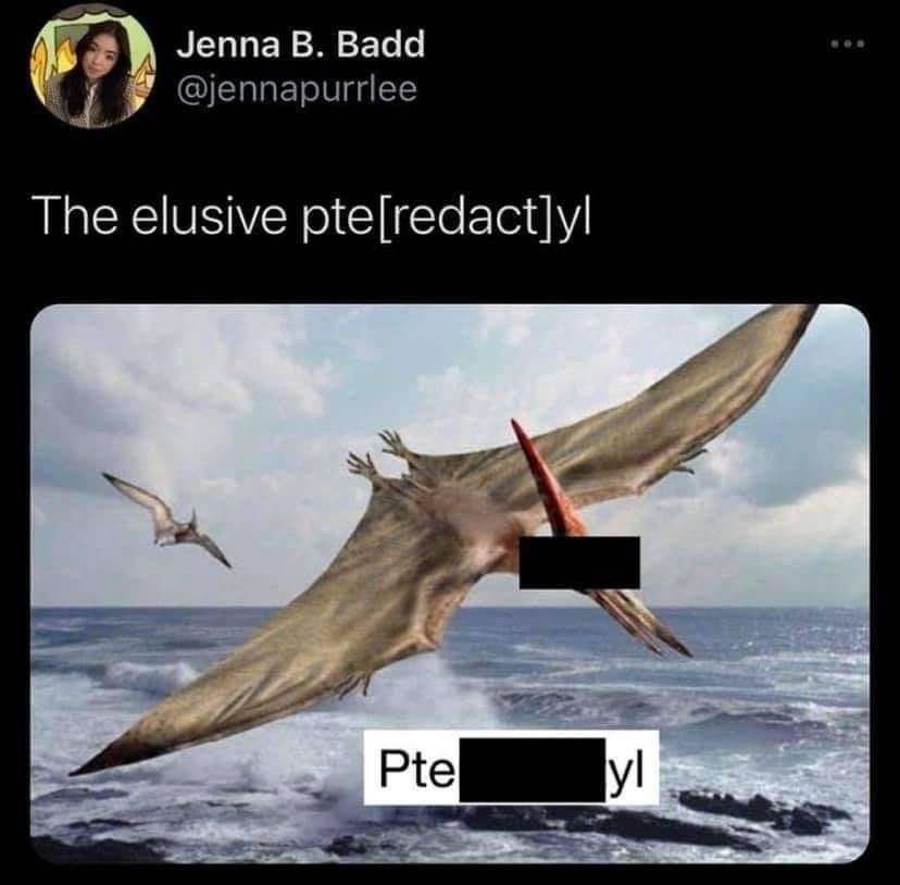 Unfortunately, it's a pteranodon