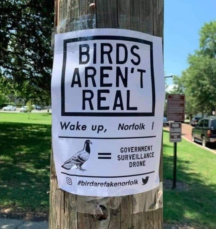 #BirdsAreFake