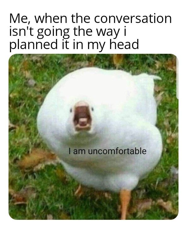 iPaddled