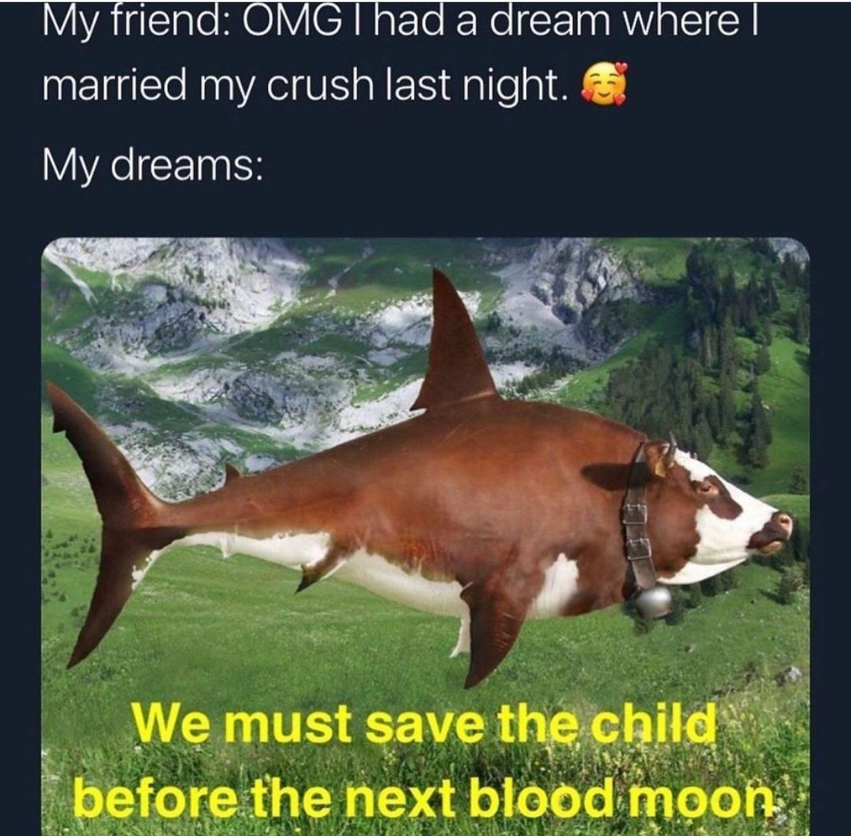 moo