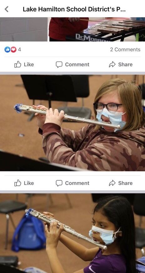 homo retardus