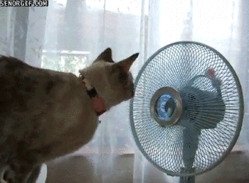 The fan has the power
