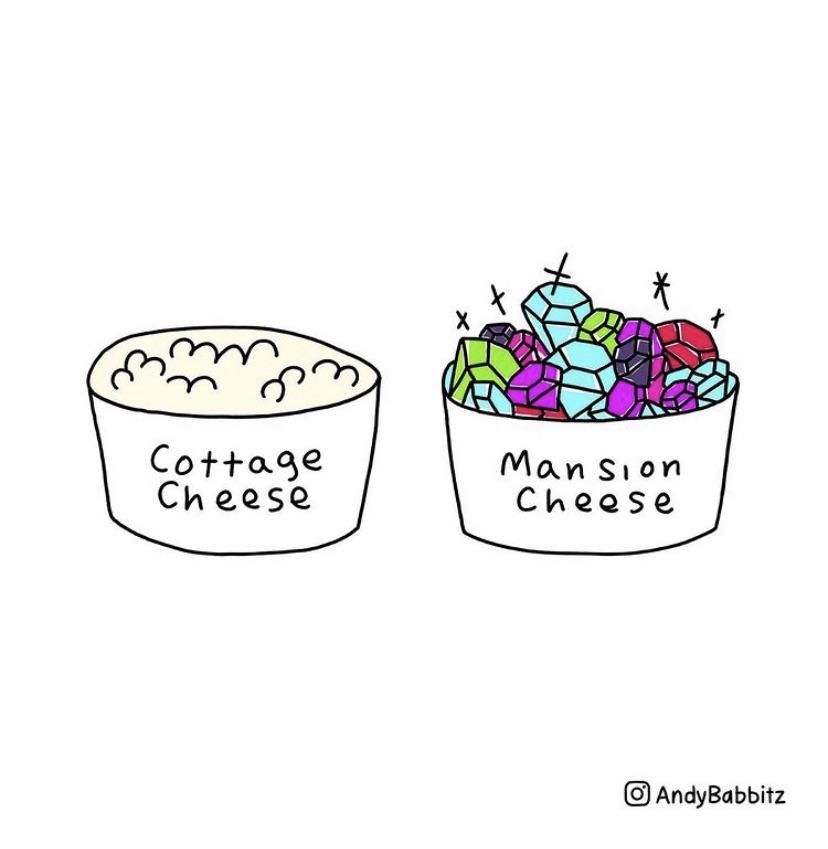 Fancy cheese