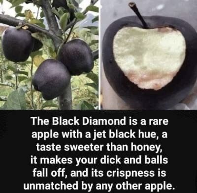 If it’s that good....