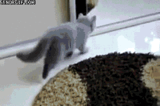 Come at me bro