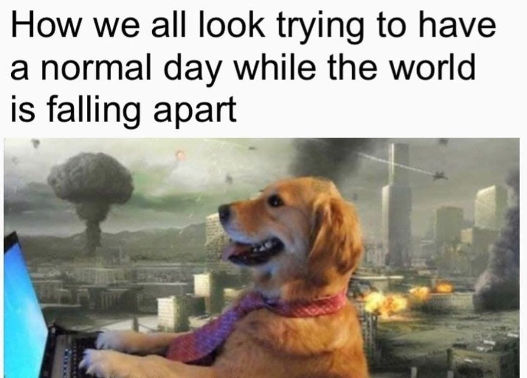 thanks internet