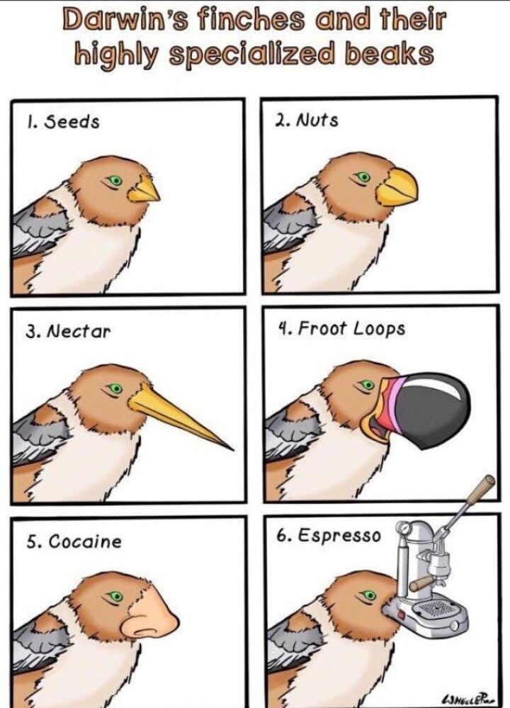 post