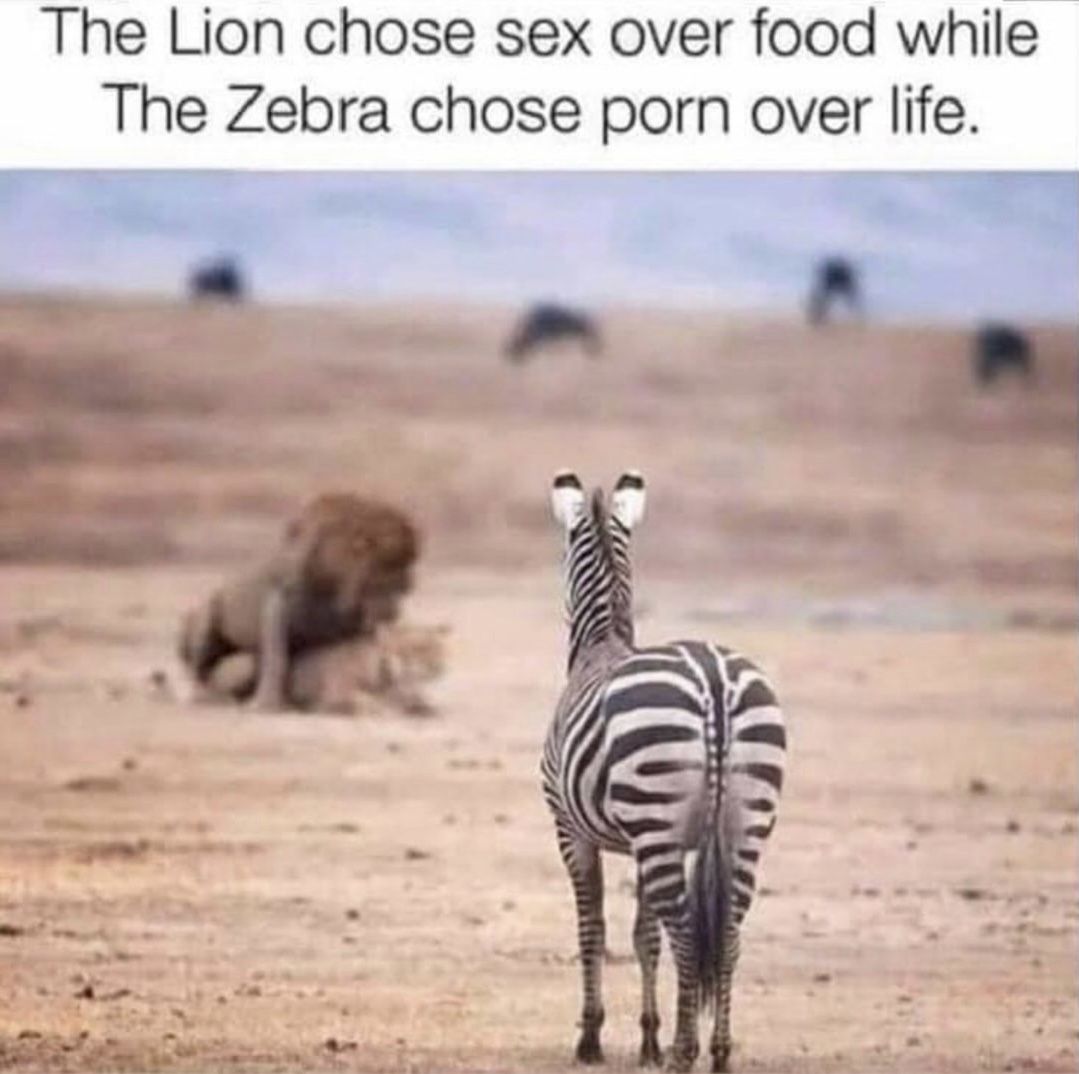 Porn > life