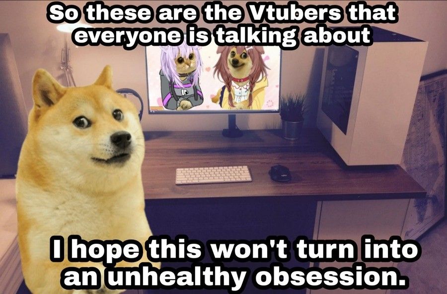 catdoge