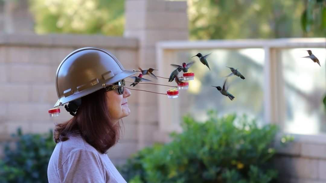 My Dad in law invented this hummingbird helmet. He calls the feeder in the back "The Tickler".