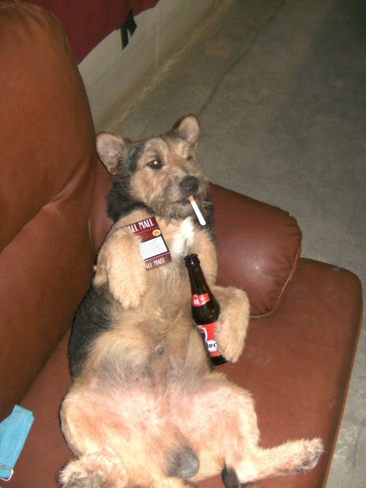 That's ly dog :)
