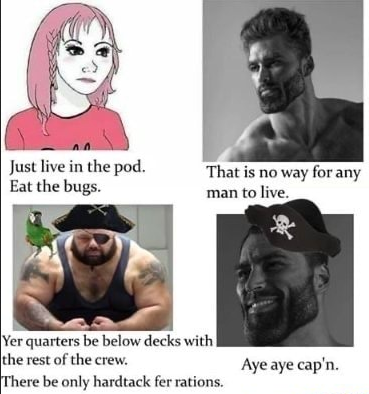 Aye aye capt'n