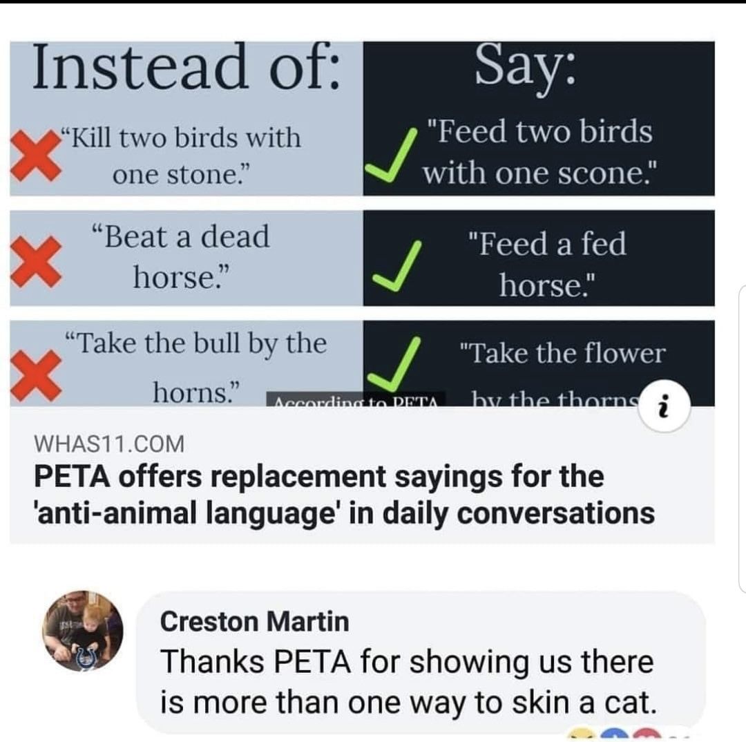 PETA at it again