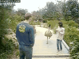 Yeah, you heard me, gtfo